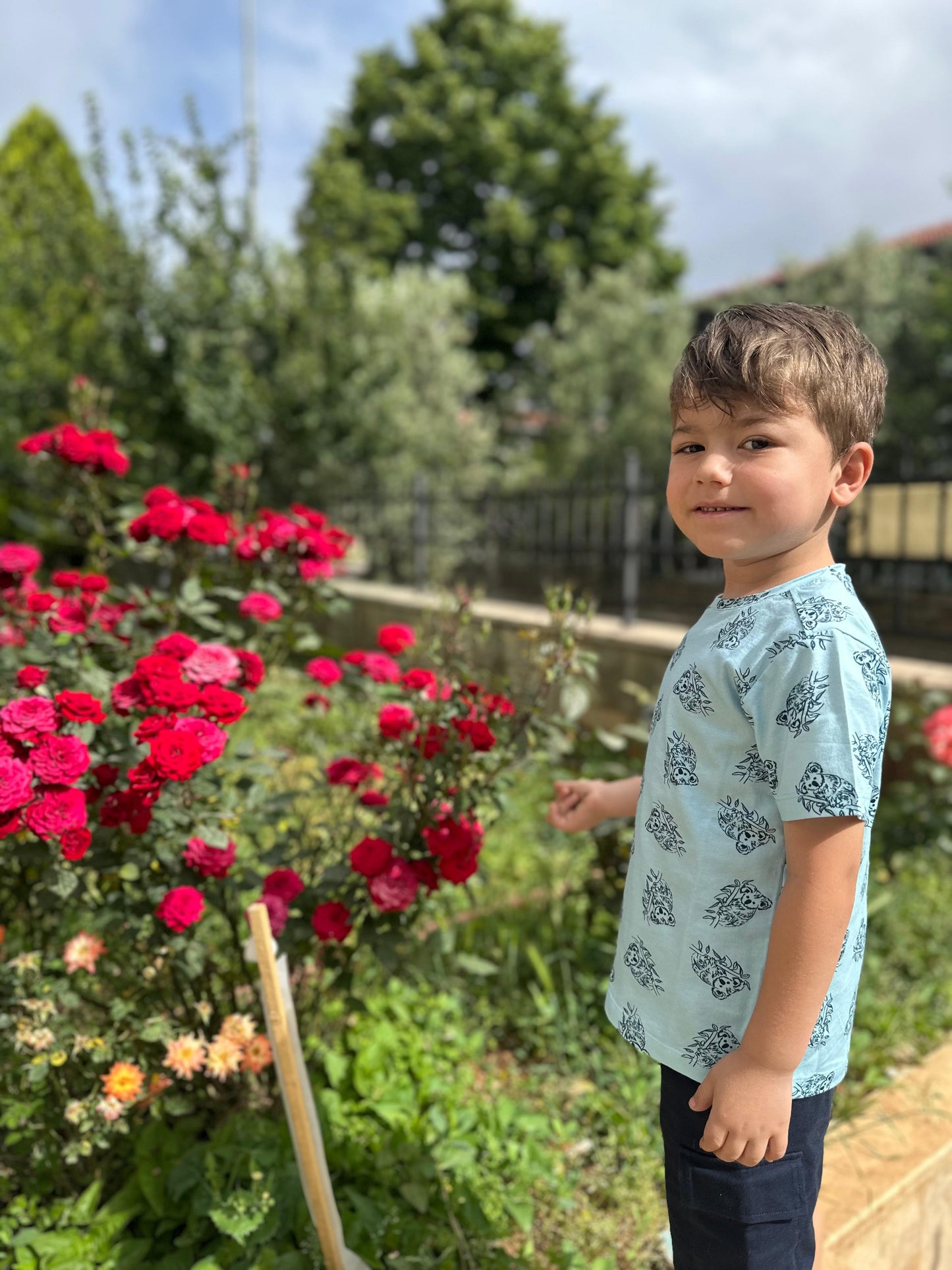 Koala Tshirt & Şort